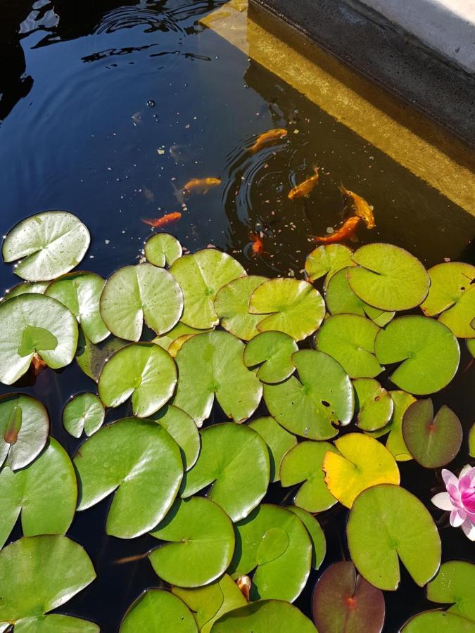 Vila Florena Garden Palanga Ngoại thất bức ảnh