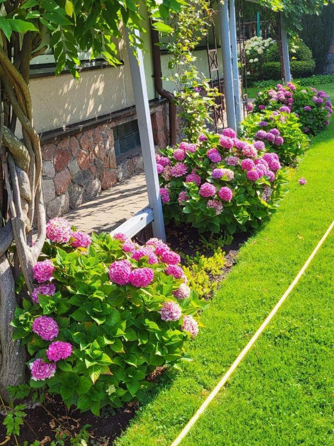 Vila Florena Garden Palanga Ngoại thất bức ảnh