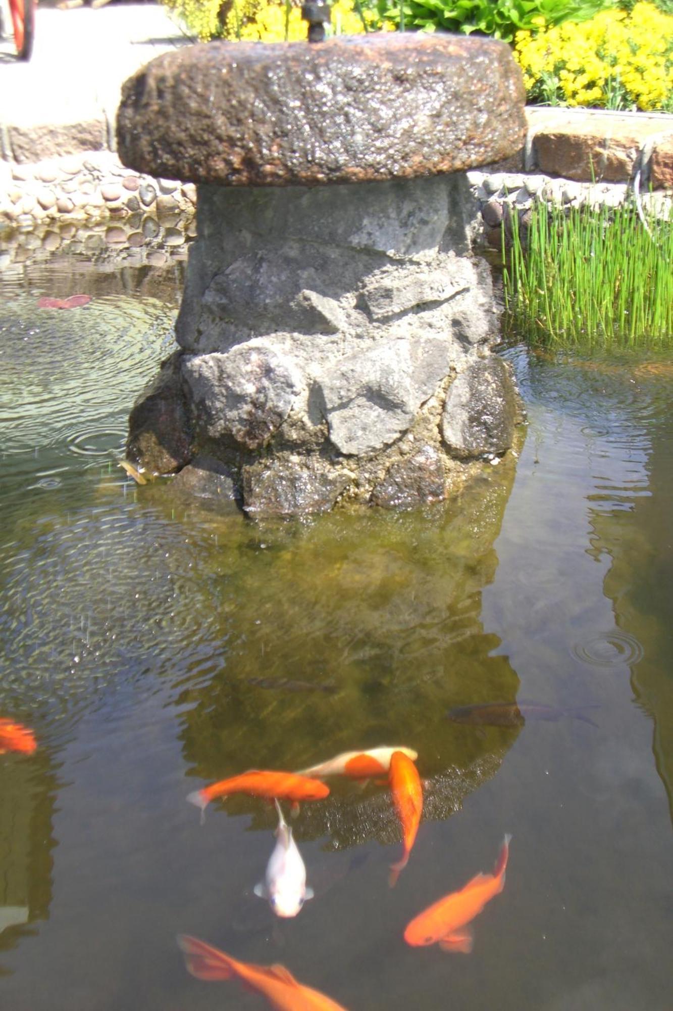 Vila Florena Garden Palanga Ngoại thất bức ảnh